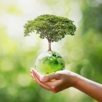 RLP GREEN lebomló tisztítószerek