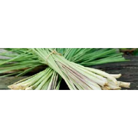 CWS Fresh Lemon Gras illat Air Bar készülékhez (8db)