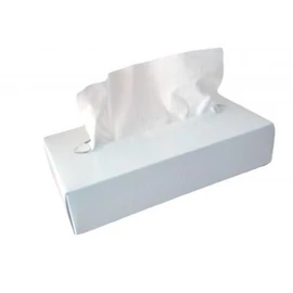 Kozmetikai kendő, 2 rétegű, fehér (100 db/doboz)