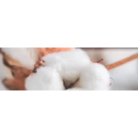 CWS Pure Cotton illat Air Bar készülékhez (8db)