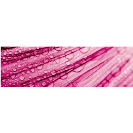 CWS flower rain illat Air Bar készülékhez (8db)