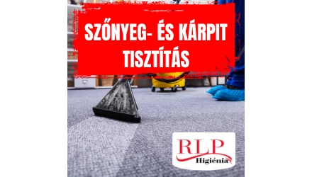  Szőnyeg- és kárpittisztítás