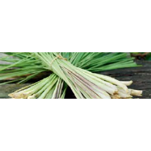 CWS Fresh Lemon Gras illat Air Bar készülékhez (8db)
