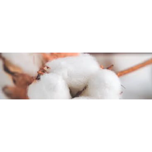 CWS Pure Cotton illat Air Bar készülékhez (8db)