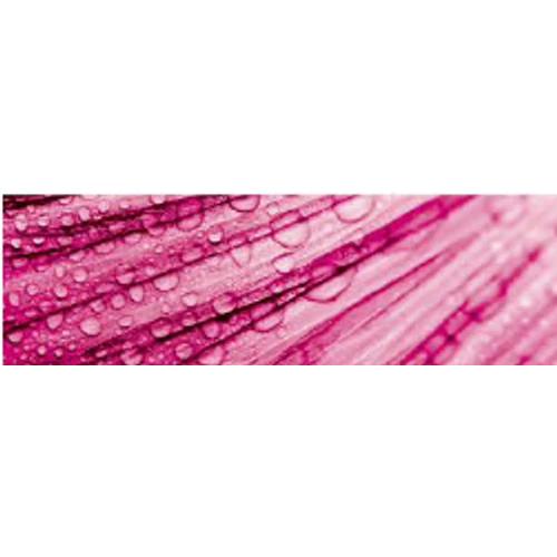CWS flower rain illat Air Bar készülékhez (8db)